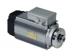 SEIPEE HPZ系列電機(jī)